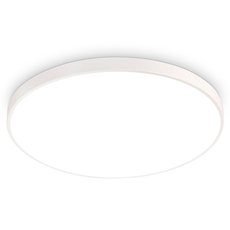 Светильник для ванной комнаты с арматурой белого цвета, плафонами белого цвета Ambrella Light FZ1201