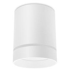 Точечный светильник с плафонами белого цвета Ambrella Light TN280