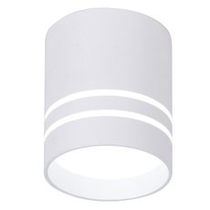 Точечный светильник с арматурой белого цвета, плафонами белого цвета Ambrella Light TN240