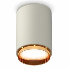Точечный светильник с металлическими плафонами Ambrella Light XS6314024