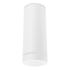 Точечный светильник с плафонами белого цвета Ambrella Light TN285