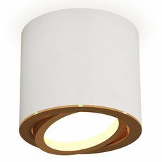 Точечный светильник с арматурой белого цвета, металлическими плафонами Ambrella Light XS7401004
