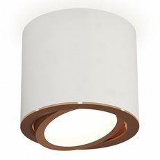 Точечный светильник с плафонами белого цвета Ambrella Light XS7401005