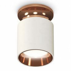 Точечный светильник с плафонами белого цвета Ambrella Light XS6301201
