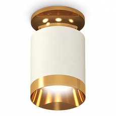 Точечный светильник с плафонами золотого цвета Ambrella Light XS6301180