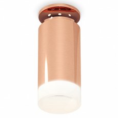 Точечный светильник с пластиковыми плафонами Ambrella Light XS6326082