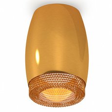 Точечный светильник с пластиковыми плафонами Ambrella Light XS1125011