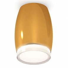 Точечный светильник с металлическими плафонами Ambrella Light XS1125021