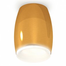 Точечный светильник с металлическими плафонами Ambrella Light XS1125020
