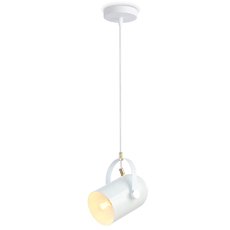 Светильник с металлическими плафонами белого цвета Ambrella Light TR8205