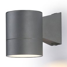 Светильник для уличного освещения с арматурой серого цвета, металлическими плафонами Ambrella Light ST3301