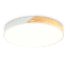Светильник с пластиковыми плафонами белого цвета Ambrella Light FZ1301