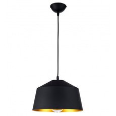 Светильник с арматурой чёрного цвета Arti Lampadari Rufo E 1.3.P1 B