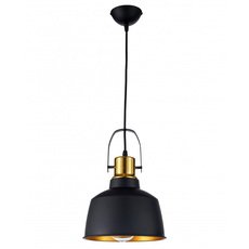 Светильник с арматурой чёрного цвета Arti Lampadari Priamo E 1.3.P2 B