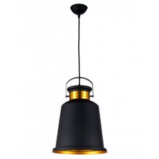 Светильник с арматурой чёрного цвета Arti Lampadari Priamo E 1.3.P1 B