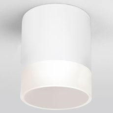 Светильник для уличного освещения с арматурой белого цвета, пластиковыми плафонами Elektrostandard Light LED 2107 (35140/H) белый