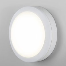 Светильник для уличного освещения накладные светильники Elektrostandard LTB51 LED Светильник 15W 6500K Белый