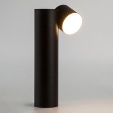 Настольная лампа с арматурой чёрного цвета, металлическими плафонами Eurosvet 80425/1 черный