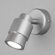 Спот с металлическими плафонами Eurosvet 20125/1 LED серебро