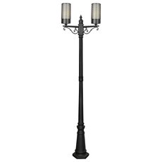 Светильник для уличного освещения с арматурой чёрного цвета, плафонами чёрного цвета Favourite 3020-2F