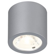 Точечный светильник с металлическими плафонами серебряного цвета Favourite 2808-1C