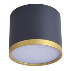 Точечный светильник с арматурой чёрного цвета Favourite 3081-2C