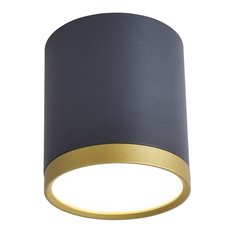 Точечный светильник с металлическими плафонами чёрного цвета Favourite 3081-1C