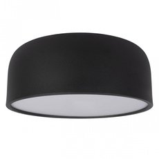 Светильник с арматурой чёрного цвета Loft IT 10201/350 Black