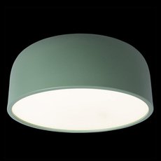 Потолочный светильник Loft IT 10201/350 Green