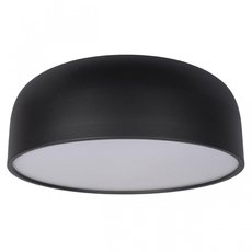 Светильник с арматурой чёрного цвета Loft IT 10201/480 Black