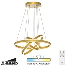 Светильник с арматурой золотого цвета, плафонами золотого цвета Citilux CL719652