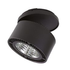 Точечный светильник с металлическими плафонами чёрного цвета Lightstar 213807