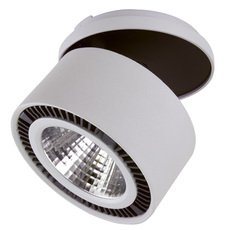 Светодиодный точечный светильник Lightstar 213849