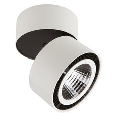 Точечный светильник с плафонами белого цвета Lightstar 213850