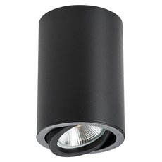 Точечный светильник с арматурой чёрного цвета Lightstar 214407