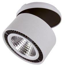 Точечный светильник с металлическими плафонами Lightstar 214840