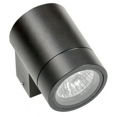 Светильник для уличного освещения с арматурой чёрного цвета Lightstar 350607