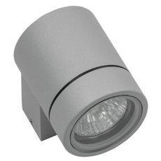 Светильник для уличного освещения с плафонами серого цвета Lightstar 350609