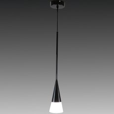 Светильник с арматурой чёрного цвета Lightstar 804117