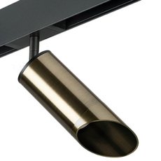 Шинная система с арматурой чёрного цвета, металлическими плафонами Lightstar PRO431431