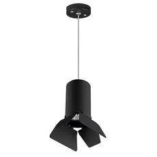 Светильник с арматурой чёрного цвета, плафонами чёрного цвета Lightstar RP437437