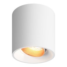 Точечный светильник с плафонами белого цвета DENKIRS DK3090-WBR