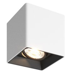 Точечный светильник с плафонами белого цвета DENKIRS DK3030-WB