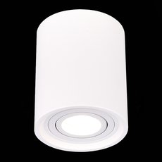 Точечный светильник с гипсовыми плафонами белого цвета ST LUCE ST156.502.01