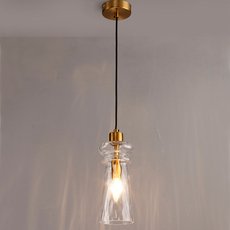 Светильник с арматурой бронзы цвета, плафонами прозрачного цвета Odeon Light 4998/1A