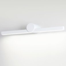 Светильник для ванной комнаты настенные без выключателя Odeon Light 6624/12WL