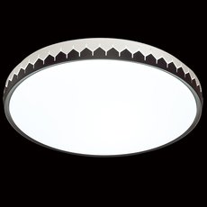 Светильник с арматурой чёрного цвета, плафонами белого цвета Sonex 3053/EL