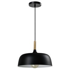 Светильник с арматурой чёрного цвета, плафонами чёрного цвета Moderli V1271-1P