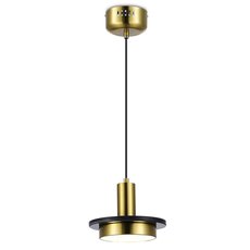 Светильник с арматурой золотого цвета Moderli V10503-PL
