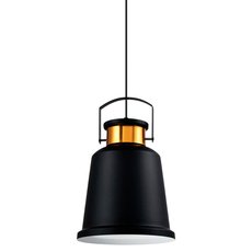Светильник с арматурой чёрного цвета Moderli V1450-1P